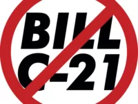 Bill C-21 amendments